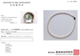 JFえひめ　パール2点セット 公式】えひめ真珠 | 生産量日本一 真珠通販ならJFえひめ